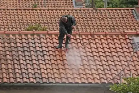 Nettoyage et démoussage de toiture à Saint-Gervais à Saint-Gervais